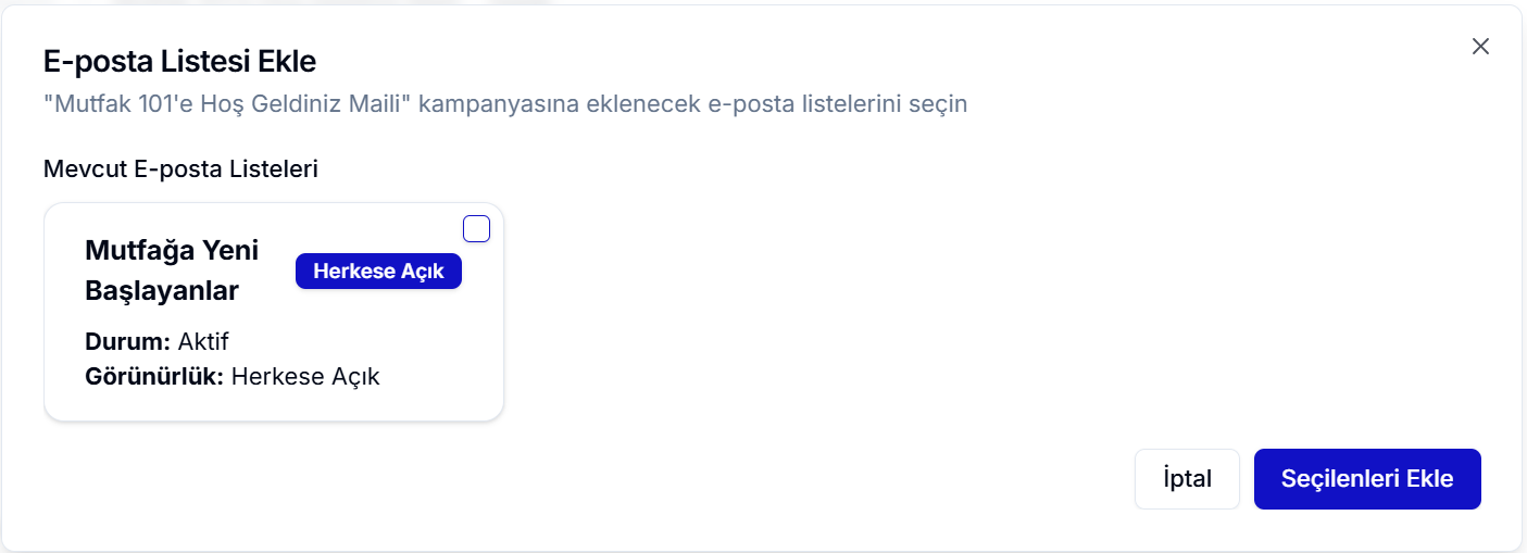 E-posta Listesi Ekle penceresi — mevcut listeler ızgarası ve 'Seçilenleri Ekle' butonu