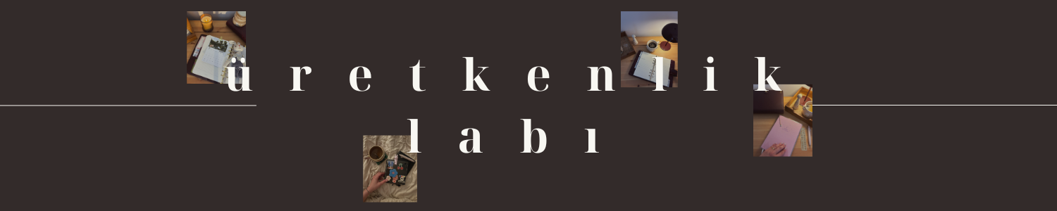 Üretkenlik Labı Birebir Seansı